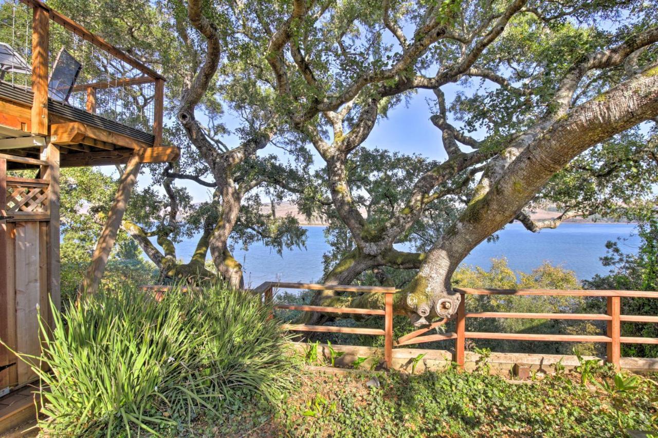 Hillside Home With Deck And Views Of Tomales Bay! إينفيرنيس المظهر الخارجي الصورة